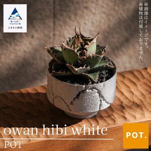 yӂ邳Ɣ[Łzowan hibi@white POT |bg A e K[fjO Aؔ t[|bg CeA lC LO CeA Mtg  Mtg s ΐ쌧 009065yPOTz