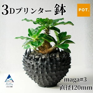 yӂ邳Ɣ[Łz3Dv^[ maga#3 a120mmb3Dv^ ϗtA | K[fjOyPOTz