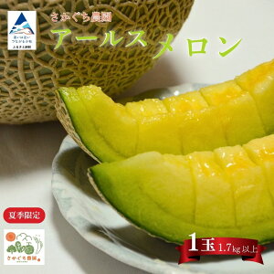 yӂ邳Ɣ[Łz A[X 1ʁi1.7kgȏj ϔ 8{菇 s\ }XN ʕ t[c v[g p  009066y_z