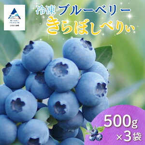 【ふるさと納税】 小松産ブルーベリー 冷凍 (選べる容量 500g/100g/1500g)ブルーベリー フルーツ 果物 小松市 こまつ 石川県 012122【きらぼしファーム】
