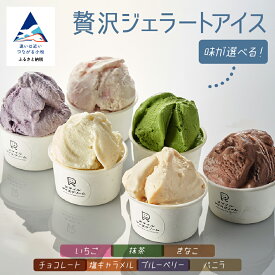 【ふるさと納税】贅沢ジェラートアイス（選べる おすすめ6種セット/いちご 6個セット/抹茶 6個セット/きなこ 6個セット/チョコレート 6個セット/塩キャラメル 6個セット/ブルーベリー 6個セット/バニラ 6個セット）アイスクリーム 詰め合わせ ギフト アイス ジェラート