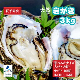 【ふるさと納税】 安宅産 天然 岩がき 3kg 選べる 3サイズ 小 (10～15個） / 中 （9～10個) / 大 (6～8個) カキ かき 天然 岩ガキ 岩牡蠣 岩がき 小松市 石川県 【石川県漁業協同組合小松支所】夏季限定！