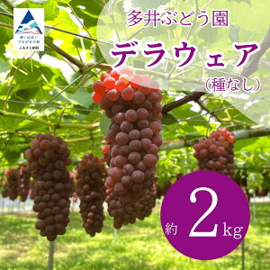 yӂ邳Ɣ[Łzs 2026N s\ tԂǂ fEFA Iׂ 2kgi7[`8[j / 3kgi10[`11[j ʕ t[c yԂǂz010247