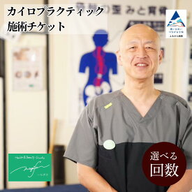 【ふるさと納税】 カイロプラクティック施術 (60分) 選べる1回券 / 2回券 / 5回券 / 8回券 利用券 チケット 整体 マッサージ 骨盤矯正 姿勢改善 ギフト プレゼント 小松市 石川県 018043 【Health＆Beauty Studio nagiSa〜なぎさ】
