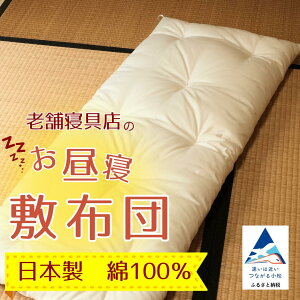 yӂ邳Ɣ[ŁzVܐQX̎zc VܐQX̂Q~zc 75×120 n Li H|i ` H|  Ε Mtg s ΐ쌧 y吙z24033