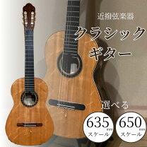 楽天市場】ふるさと納税 訳あり（クラシックギター｜ギター）：ギター 