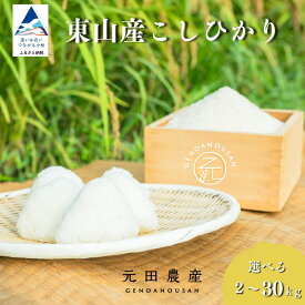 【ふるさと納税】 先行予約 令和8年産 コシヒカリ 精米 選べる 2kg / 5kg / 10kg / 15kg / 30kg 米 コメ お米 国産米 小松市 石川県 北陸 006036 【元田農産】