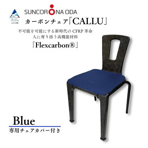 yӂ邳Ɣ[ŁzyʁEx̃J[{`FAuCALLUvIׂp`FAJo[iu[/bh/CG[j Ƌ fUCi[Y `FA  󒍐Y yTRicz352004