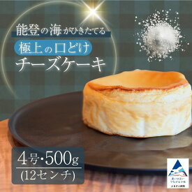 【ふるさと納税】能登塩の燻製チーズケーキ スイーツ お菓子 チーズケーキ 母の日 ギフト プレゼント | 石川県 小松市 014072 【株式会社ARU】