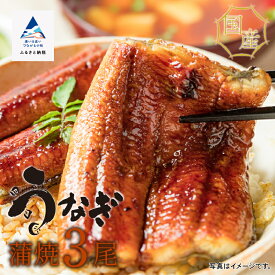 【ふるさと納税】 国産うなぎ蒲焼3尾 うなぎ 国産 蒲焼き 土用 丑の日 おかず ごはんのお供 グルメ お取り寄せ お中元 お歳暮 ギフト 小松市 石川県 040035【犬丸屋】