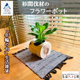 【ふるさと納税】「年輪の力」杉間伐材のフラワーポット ポット 植物 容器 ガーデニング 鉢 インテリア 工芸品 伝統 工芸 人気 ランキング インテリア ギフト おすすめ ギフト 新生活 家具 日本製 木製 インテリア 一人暮らし 小松市 石川県 013038【生活アート工房】