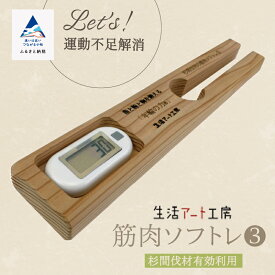 【ふるさと納税】 指と腕と胸を鍛える「年輪の力」筋肉ソフトレ（3） 杉 間伐材 健康習慣 筋トレ トレーニング 工芸品 伝統 工芸 ギフト 新生活 家具 日本製 木製 インテリア 小松市 石川県 024020【生活アート工房】