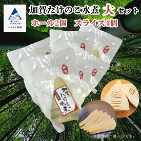 【ふるさと納税】《 真空包装で手軽に使える 》 加賀たけのこ水煮 大セット セット 詰め合わせ グルメ お取り寄せ お中元 お歳暮 ギフト 小松市 石川県 012011【山木食品工業】