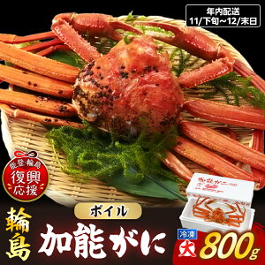 yӂ邳Ɣ[Łzs\ \KjiYYCKjAⓀjIׂe | y2025N11{-12ɂ͂z uhI  CN Ⓚ Mtg v[g 蕨 ʂIׂ \o 