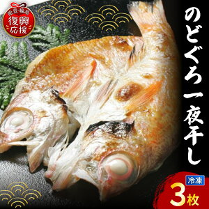 yӂ邳Ɣ[Łẑǂ 銱3 Zbg LLTCY |  Zbg lߍ킹 ̂ǂ ނ    蕨  Mtg  \o  x \o ΐ쌧 ֓s