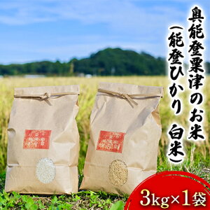 yӂ邳Ɣ[Łzyߘa7NxYz\oÂ̂āi\oЂ@āj3kg×1 @͂F10{ȍ~