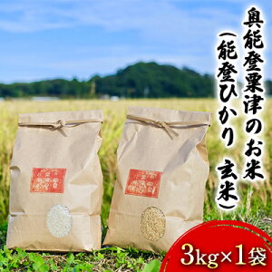 yӂ邳Ɣ[Łzyߘa7NxYz\oÂ̂āi\oЂ@āj3kg×1 @͂F10{ȍ~o