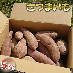 yӂ邳Ɣ[Łz܂ 5kg  Tc}C ΐ쌧Y @͂FN1`3