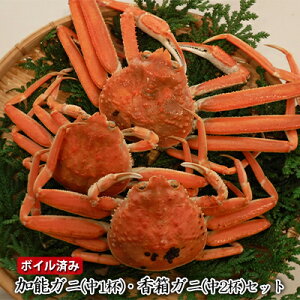 yӂ邳Ɣ[Łzy[iwsz\Kji1tjKji2tjZbg@{Cς݁@͂F12{`12{