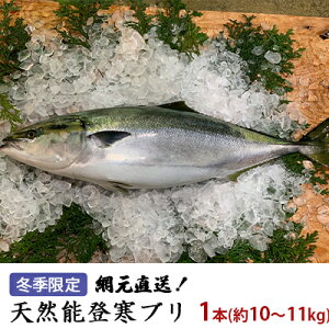 yӂ邳Ɣ[Łzy[iwszԌIVR\ou1{i10`11kgj  Y Ԃ @͂F2025N11{`2026N1{͂̎w͏o܂Bg̏o