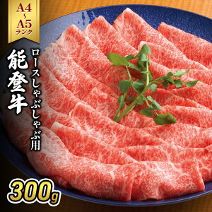 yӂ邳Ɣ[Łz\oiA4`A5j[XԂԗp300g  