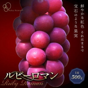 yӂ邳Ɣ[Łz ys\z r[} 1[ 500g i2026N8{`9{j Ԃǂ uhE 嗱 s\ \ ①z  ʕ t[c n Hi F6P-2104