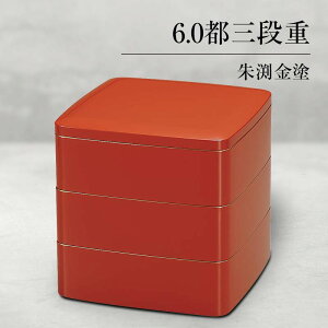 yӂ邳Ɣ[ŁzRh 6.0sOid 韺h Oid d   ٓ ^ sNjbN Ԍ 蕨 Mtg `H| H|i ABS F6P-0478