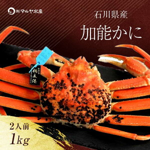 yӂ邳Ɣ[Łz_Iׂ^ys\zy①zΐ쌧Y \ YCKj ( Ynؖ^Ot ) 䥂ŏグOd 1.0kg 1C TCY uhI {C 䥂 I  O