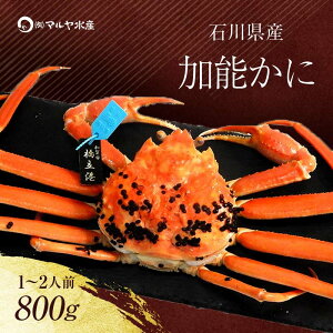 yӂ邳Ɣ[Łz_Iׂ^ys\zy①zΐ쌧Y \ YCKj ( Ynؖ^Ot ) 䥂ŏグOd 800g 1C TCY uhI {C 䥂 I  O