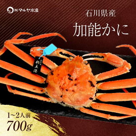 【ふるさと納税】＼時期が選べる／【冷蔵発送】石川県産 加能かに ズワイガニ ( 産地証明タグ付 ) 茹で上げ前重量 約700g 1匹 大サイズ ブランド蟹 ボイル 茹で 蟹 かに グルメ 海産物 贈り物 復興 震災 コロナ 能登半島地震復興支援 北陸新幹線 F6P-0682