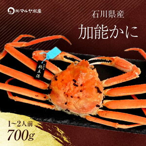 yӂ邳Ɣ[Łz_Iׂ^ys\zy①zΐ쌧Y \ YCKj ( Ynؖ^Ot ) 䥂ŏグOd 700g 1C TCY uhI {C 䥂 I  O 