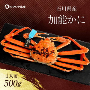yӂ邳Ɣ[Łz_Iׂ^ys\zy①zΐ쌧Y \ YCKj ( Ynؖ^Ot ) 䥂ŏグOd 500g 1C TCY uhI {C 䥂 I  O 
