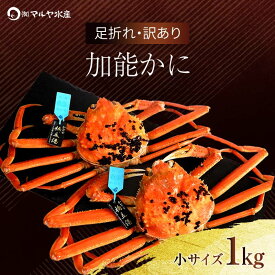 【ふるさと納税】＼時期が選べる／【先行予約】【冷蔵発送】石川県産 加能かに ズワイガニ ( 産地証明タグ付 ) 訳あり 足折れ 小サイズ 2～3匹 合計1.0kg 産地証明 訳あり 家庭用 自宅用 足折れ ブランド蟹 ボイル 茹で 蟹 震災 能登半島地震復興支援 北陸新幹線 F6P-0691