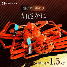 【ふるさと納税】＼時期が選べる／【先行予約】【冷蔵発送】石川県産 加能かに ズワイガニ ( 産地証明タグ付 ) 訳あり 足折れ 中サイズ 2～3匹 合計1.5kg 家庭用 自宅用 足折れ ブランド蟹 ボイル 茹で 蟹 かに 震災 コロナ 能登半島地震復興支援 北陸新幹線 F6P-0692