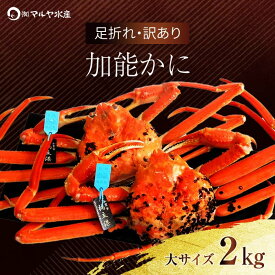 【ふるさと納税】＼時期が選べる／【冷蔵発送】石川県産 加能かに ズワイガニ ( 産地証明タグ付 ) 訳あり 足折れ 大サイズ 2～3匹 合計2.0kg 家庭用 自宅用 足折れ ブランド蟹 ボイル 茹で 蟹 かに 復興 震災 コロナ 能登半島地震復興支援 北陸新幹線 F6P-0693