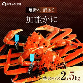 【ふるさと納税】＼時期が選べる／【先行予約】【冷蔵発送】石川県産 加能かに ズワイガニ ( 産地証明タグ付 ) 訳あり 足折れ 特大サイズ 2～3匹 合計2.5kg ※茹で上げ前重量 復興 震災 コロナ【能登半島地震復興支援】 北陸新幹線 F6P-0694