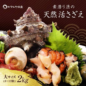 【ふるさと納税】【先行予約】石川県・加賀市 活さざえ ( 天然 生食用 ) 大サイズ 2kg 8〜13個 詰合せ（2025年7月上旬〜2025年8月中旬頃発送） F6P-0993