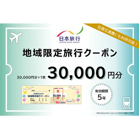 【ふるさと納税】日本旅行 地域限定旅行クーポン 30,000円分 旅行 クーポン 利用券 チケット 旅行クーポン 宿泊 宿 旅館 ホテル レジャー 体験 交通 観光 トラベル 加賀市 能登半島地震復興支援 F6P-1019