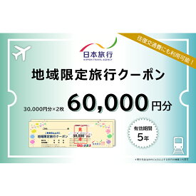 【ふるさと納税】日本旅行 地域限定旅行クーポン 60,000円分 旅行 クーポン 利用券 チケット 旅行クーポン 宿泊 宿 旅館 ホテル レジャー 体験 交通 観光 トラベル 加賀市 能登半島地震復興支援 F6P-1020