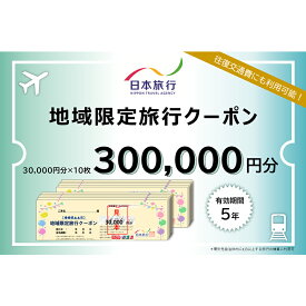 【ふるさと納税】日本旅行 地域限定 旅行クーポン 300,000円分 旅行 クーポン 利用券 チケット宿泊 宿 旅館 ホテル レジャー 体験 交通 観光 トラベル 加賀市 能登半島地震復興支援 F6P-1023