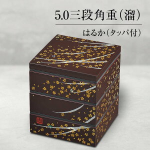yӂ邳Ɣ[ŁzRh 5.0Oipd  ͂邩 ^bpt Oid d   ٓ ^ sNjbN Ԍ 蕨 Mtg `H| H|i ABS F6P-1314