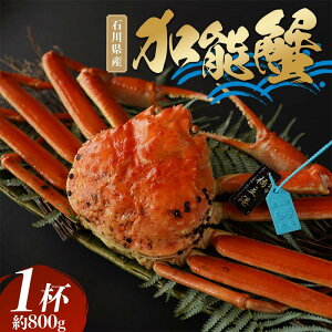 yӂ邳Ɣ[Łzuΐ쌧Y^Ot\Ii1tjv΂ F6P-1725