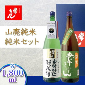 【ふるさと納税】常きげん 山廃純米・純米セット 各1800ml JY-50 鹿野酒造 石川県 加賀市 北陸 F6P-1735