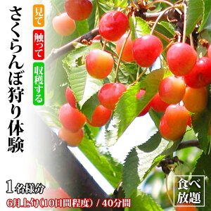 yӂ邳Ɣ[Łzڎ̌ Hו 1l ڎ t[c ̎   TN{ t[c ʕ  ̌ \onkx F6P-