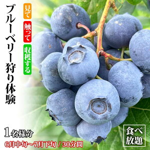yӂ邳Ɣ[Łzu[x[̌ Hו 1l u[x[ t[c ̎  u[x[ x[  t[c ʕ  ̌ \onk