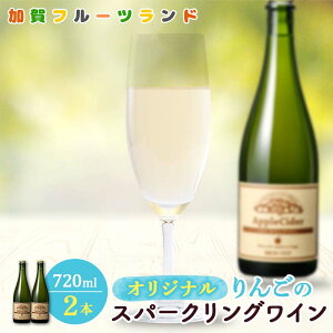 yӂ邳Ɣ[ŁzIWi񂲂̃Xp[NOC 750ml×2{ F6P-1819