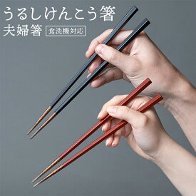 【ふるさと納税】華正工房 うるしけんこう箸 食洗機対応 ペア (夫婦箸) 化粧箱入り F6P-2841