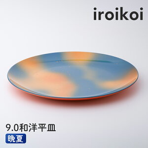 yӂ邳Ɣ[Łziroikoi 9.0 amM Ӊ H R F6P-1897