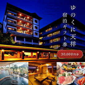 【ふるさと納税】ゆのくに天祥 宿泊ギフト券 30,000円分 宿泊券 旅行 クーポン 利用券 ギフト券 旅行クーポン 宿泊 宿 旅館 ホテル レジャー 体験 観光 トラベル 能登半島地震復興支援 F6P-2017