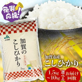 【ふるさと納税】【選べる容量・お届け回数】 令和7年産 こしひかり 1.5kg 3kg 5kg 10kg 1回 定期便 3回 3カ月 6カ月 精米 生活応援米 銘柄米 お米 米 ギフト 贈り物 グルメ 食品 復興応援米 F6P-2394var
